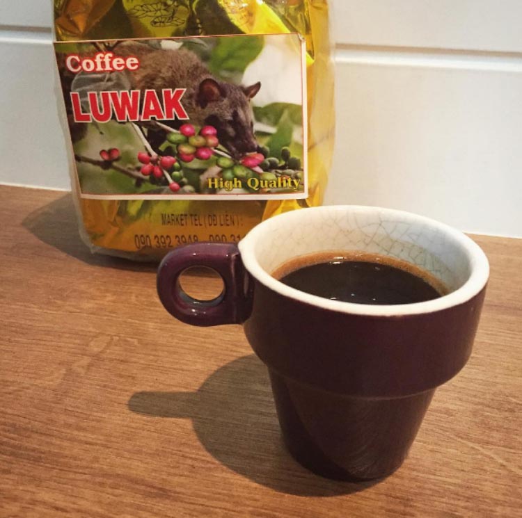 luwak-civeta-coffee
