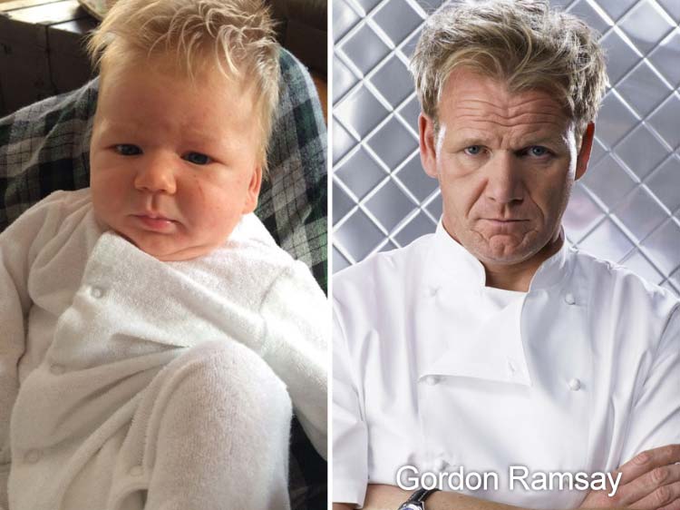 baby-like-Gordon-Ramsay