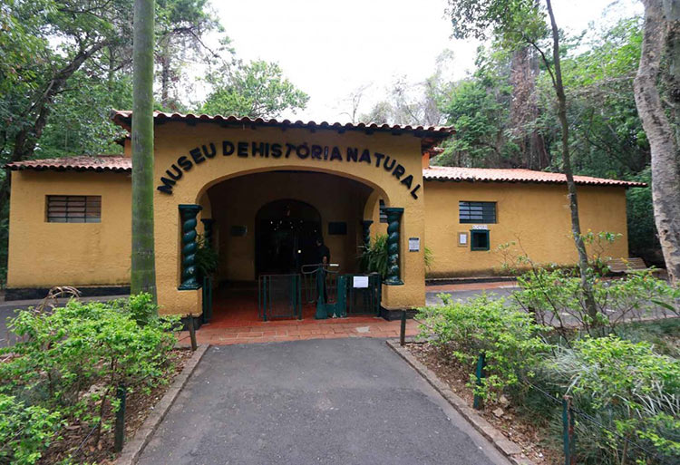 museu-historia-natural-campinas