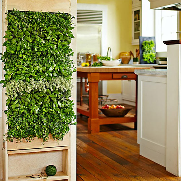 vertical-garden-kitchen