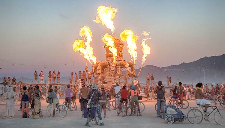 burning-man-festival