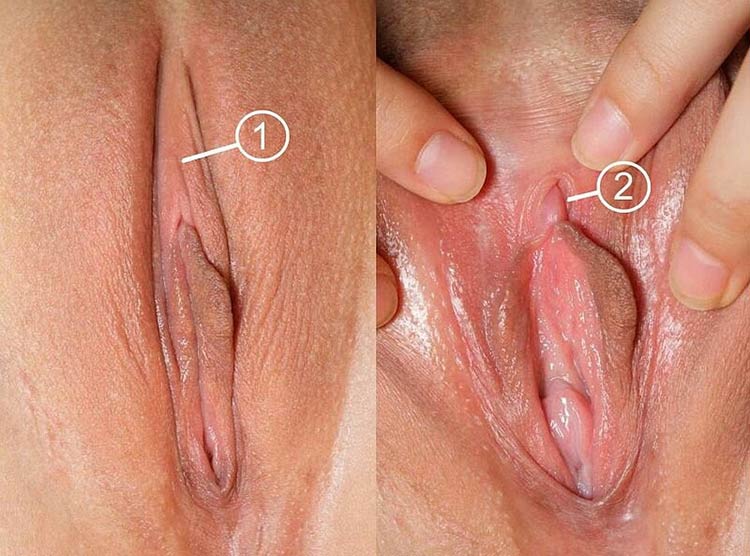 clitoris-mulher
