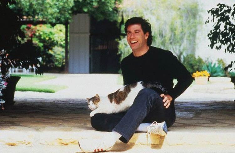 John-Travolta-cat