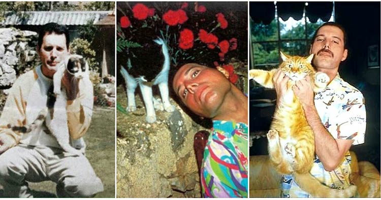 freddie-mercury-with-cats