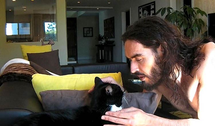 russellbrand-cat